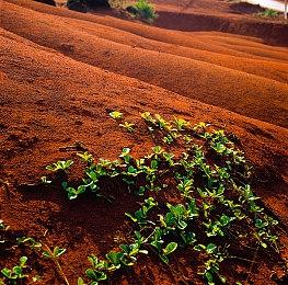 调查发现大部分游戏开发者对NFT没兴趣